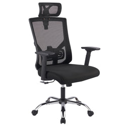 Ergonomic Executive Chair with Adjustable Height
